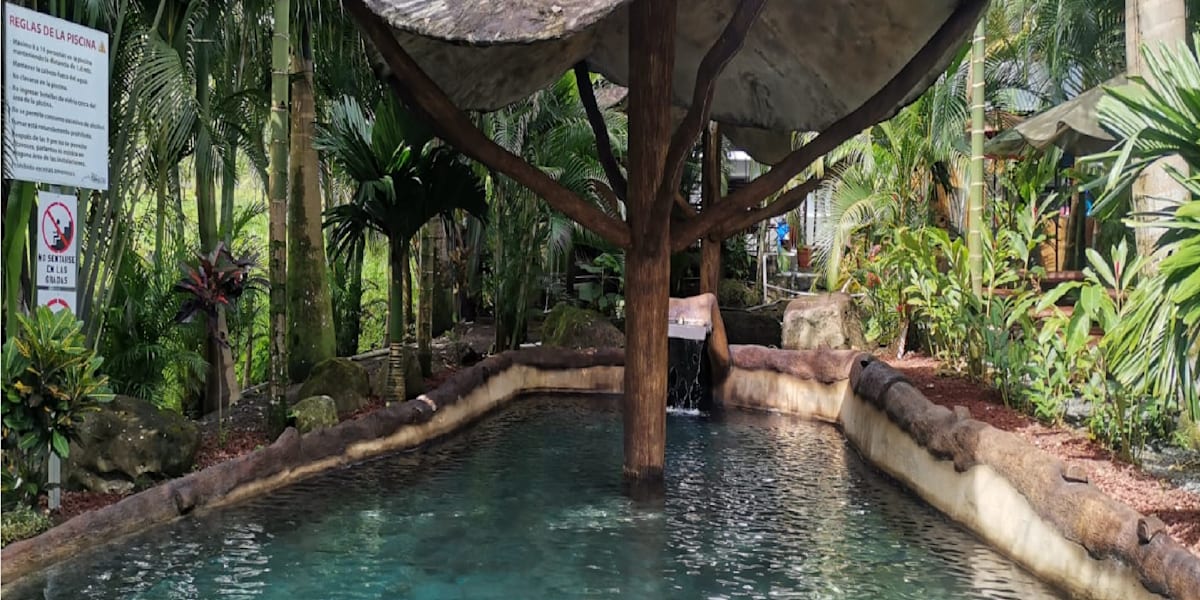 Hotel Palmera Real Hot Springs