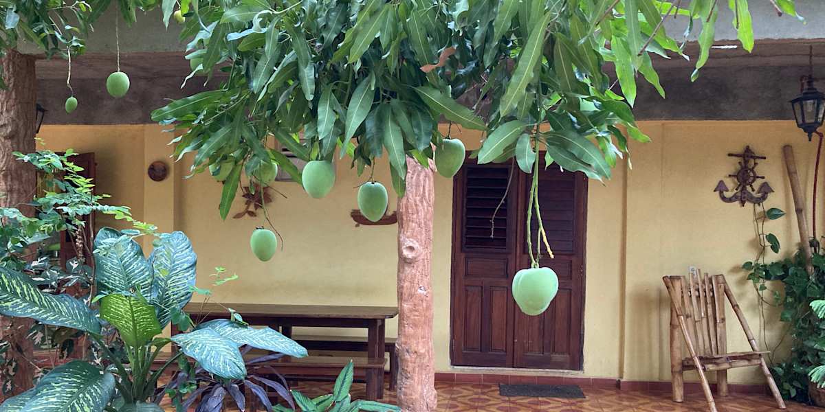 Casa Los Mangos