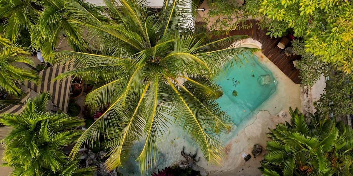 Enigmatic Boutique Hotel