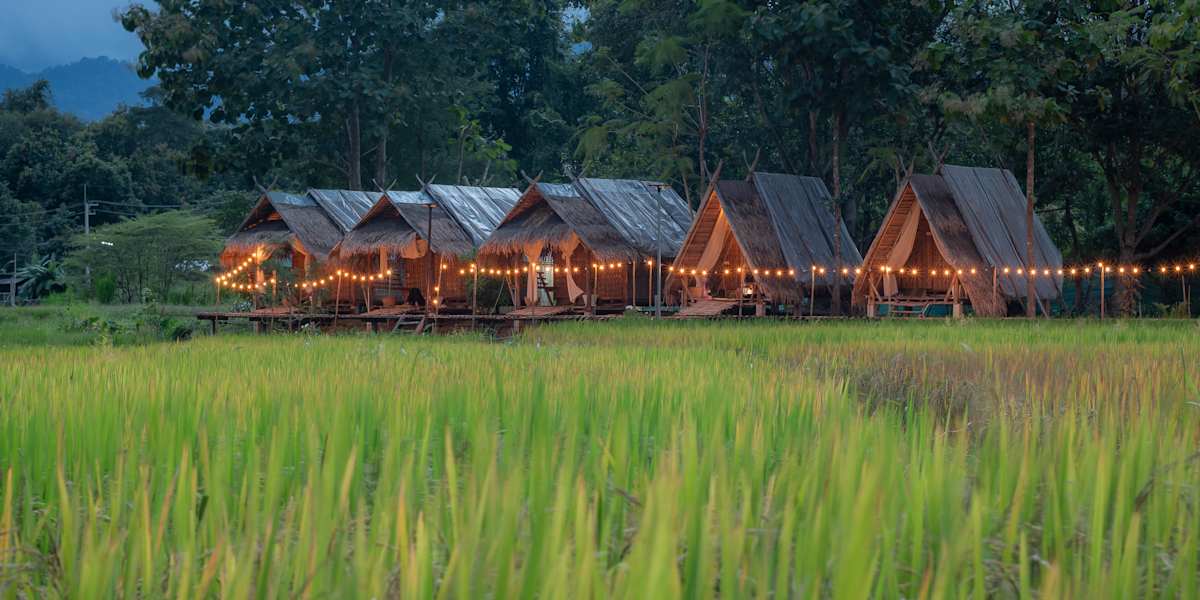 Paddy Fields Haven - Natures Nest