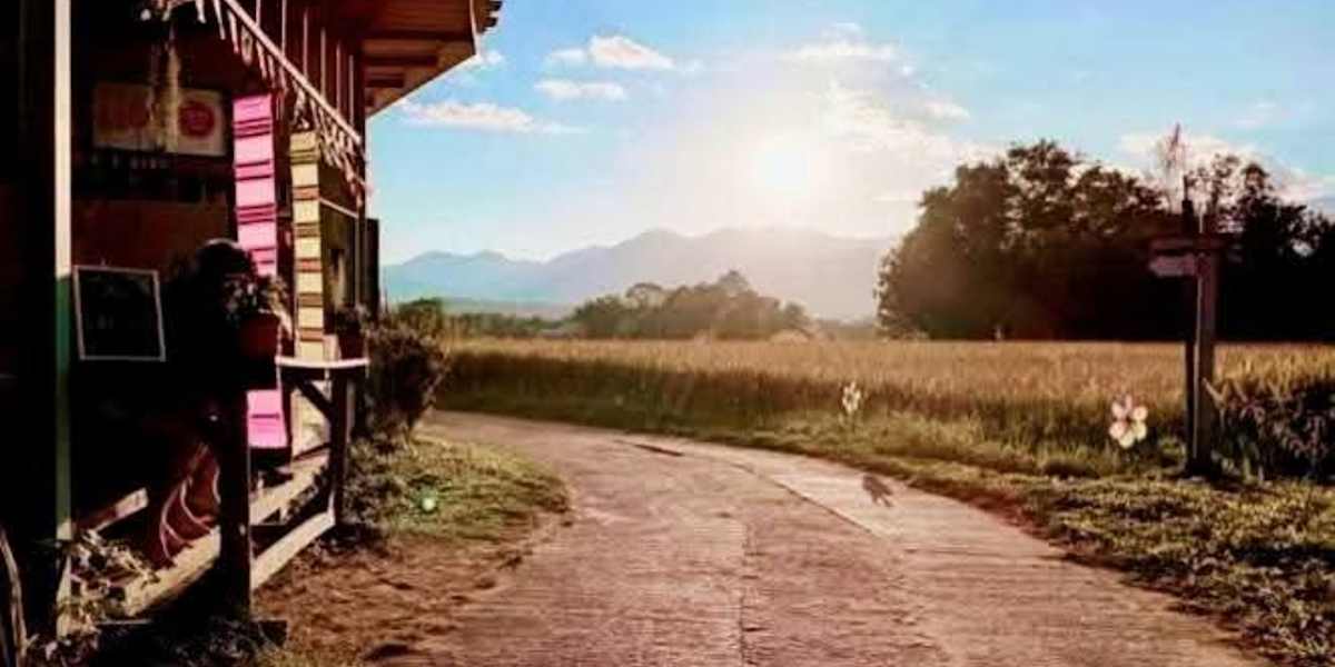 Chill In Pai