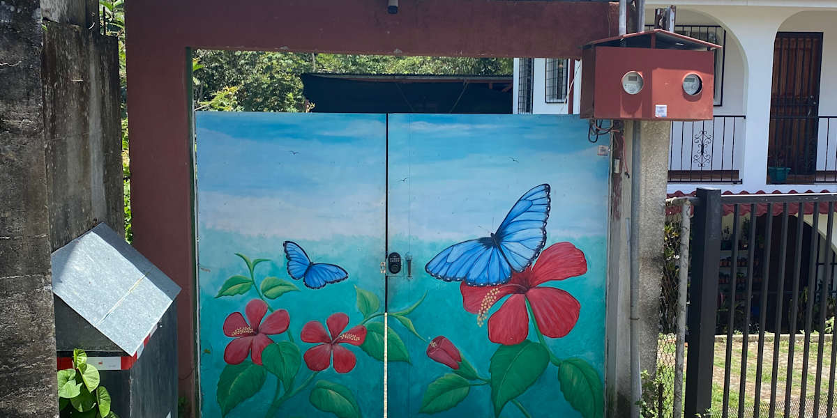 Blue Morpho House Hostel