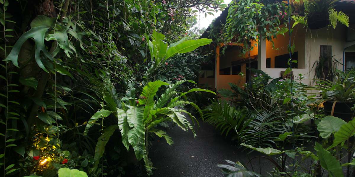 Sari Gong Hostel Ubud