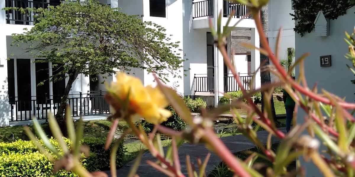 Amaluna Hostel