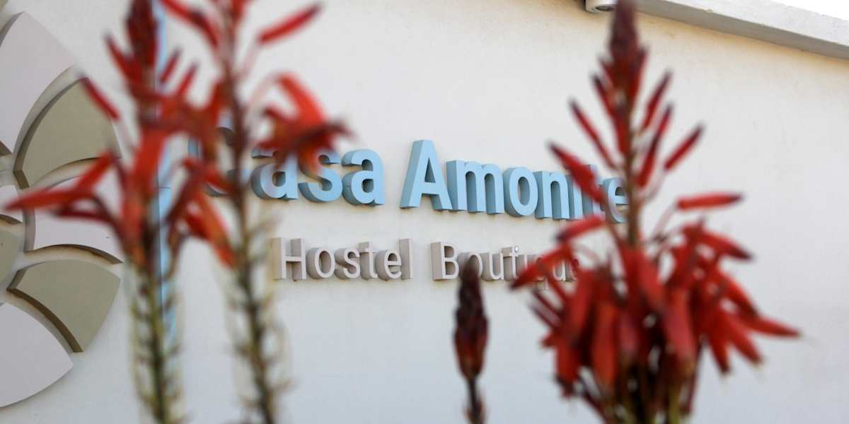 Casa Amonite Hostel Boutique