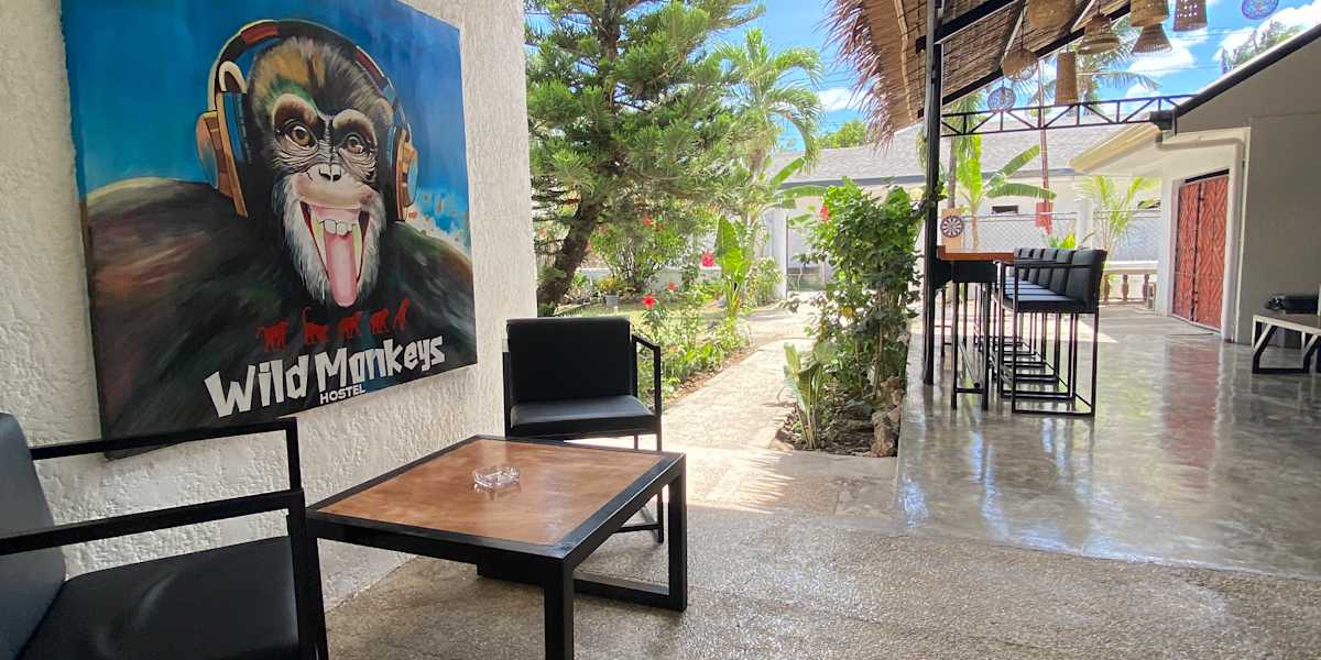 Wild Monkeys Hostel