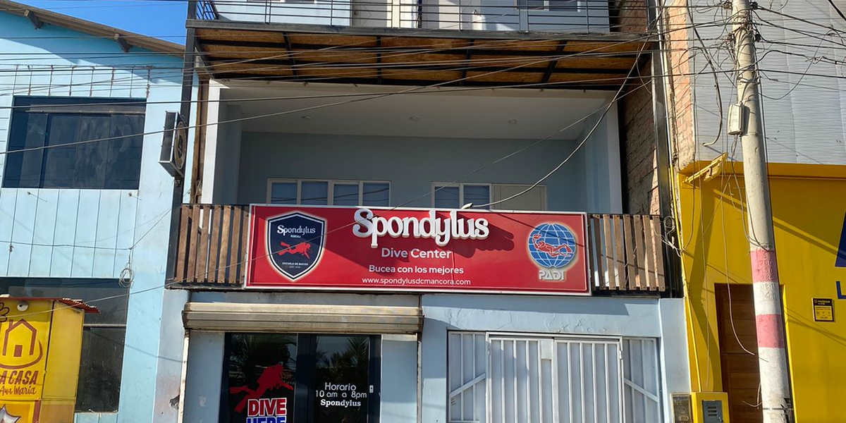 Spondylus Home