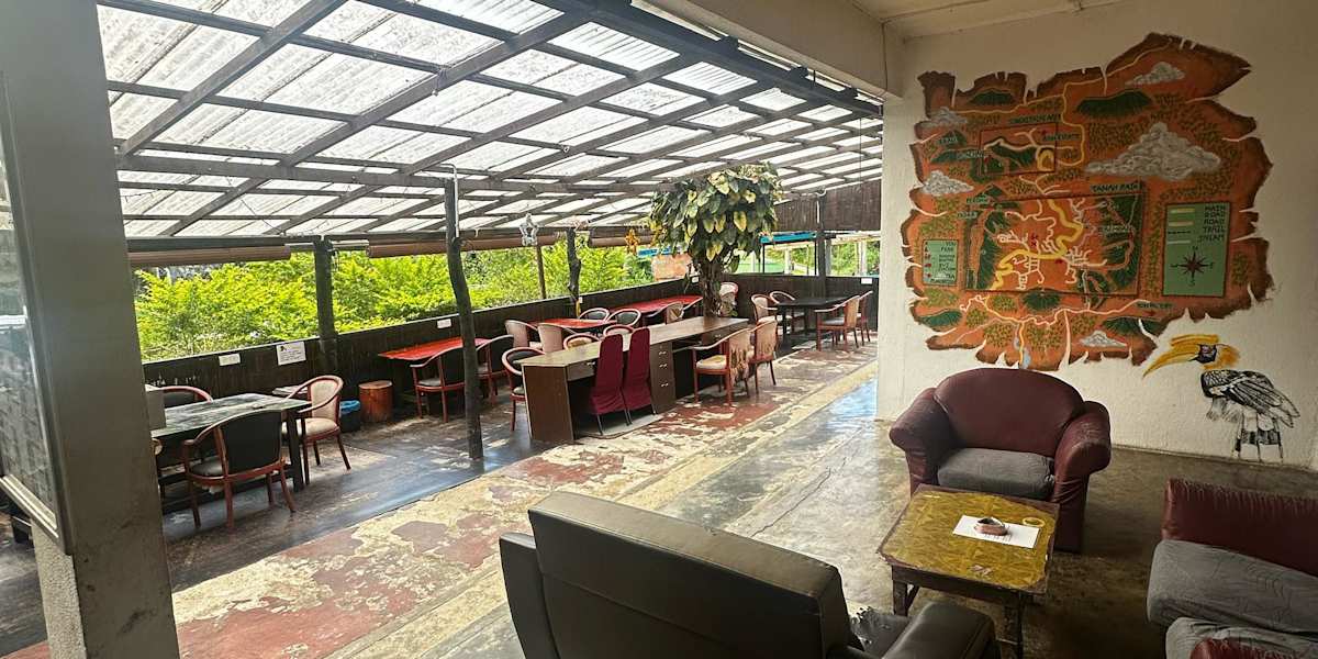 Jungle Ippie Hostel