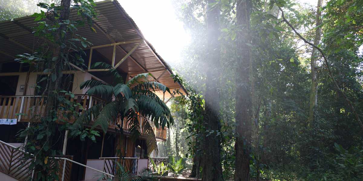 Cool Waters Jungle Hostel