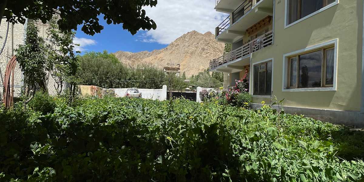 Zlatan Guest House
