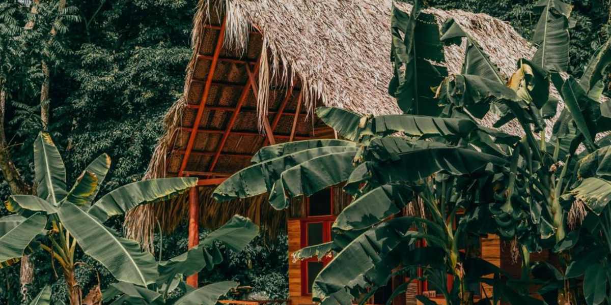 Magic Green Tayrona