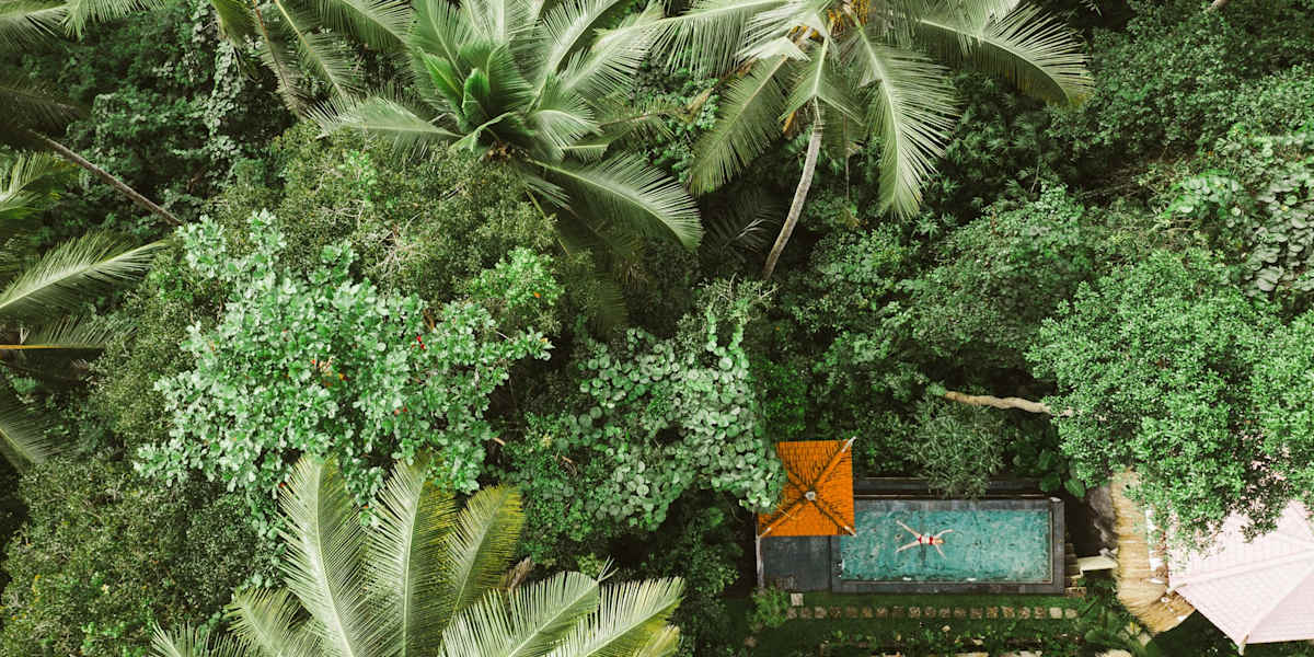 The Nest in Ubud