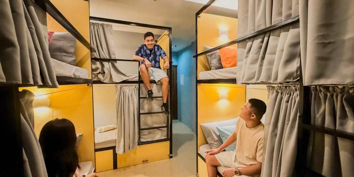Goofy Ants Hostel