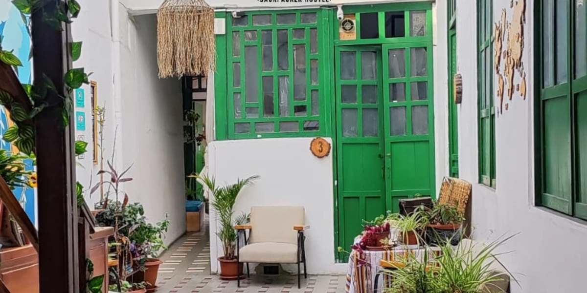 Wild Monkey Hostel