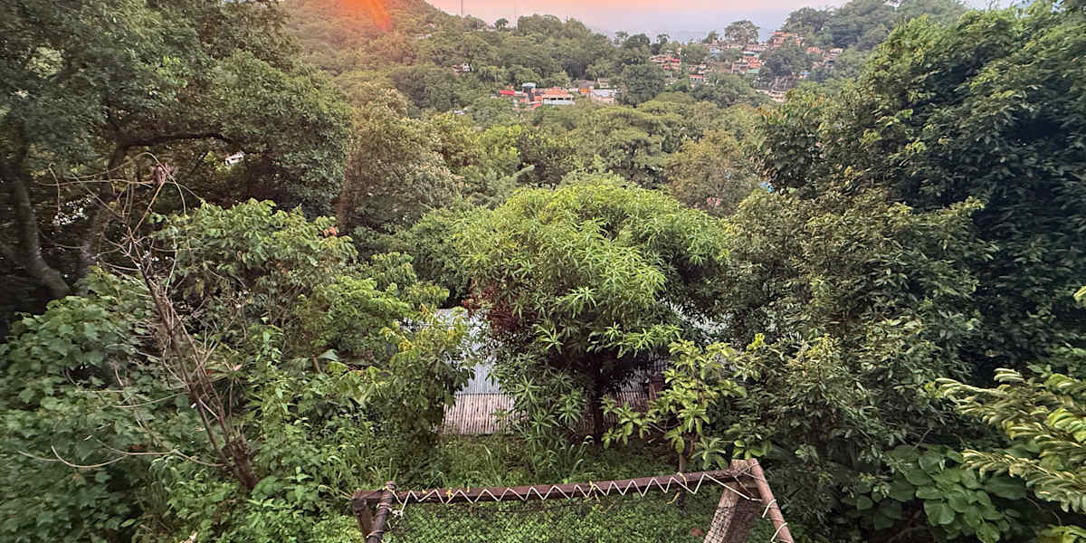 HOSTAL COLIBRI MINCA