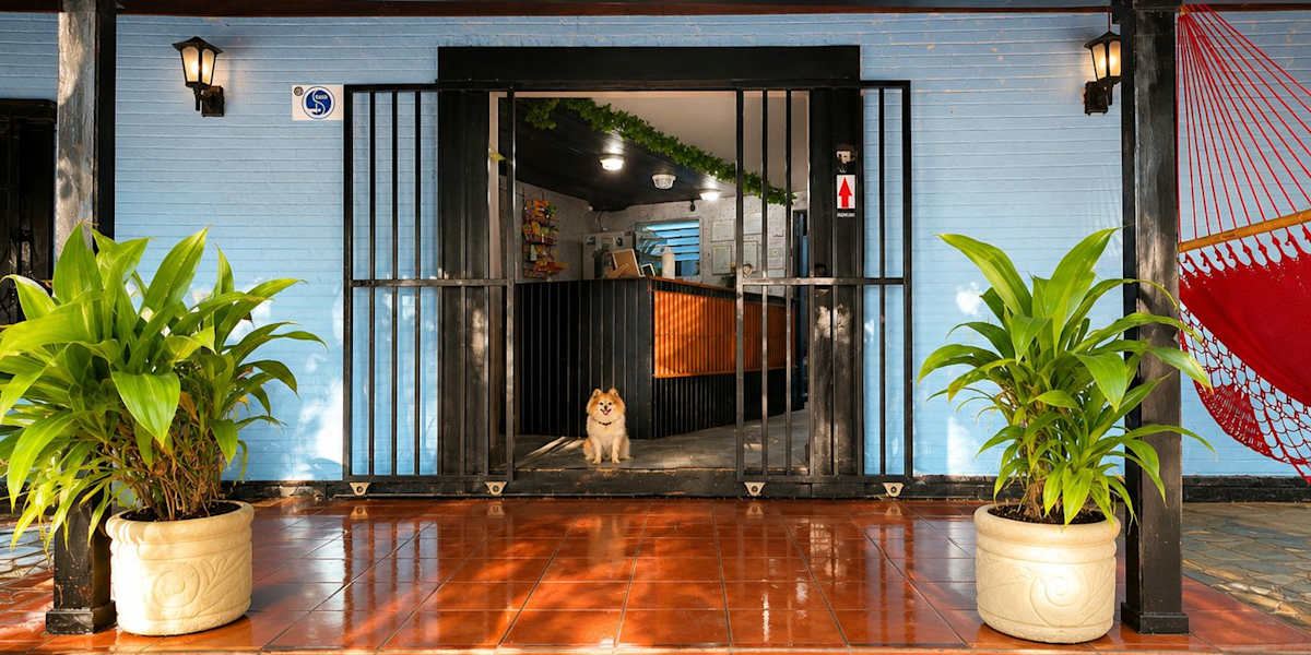 Oasis Hostel Managua