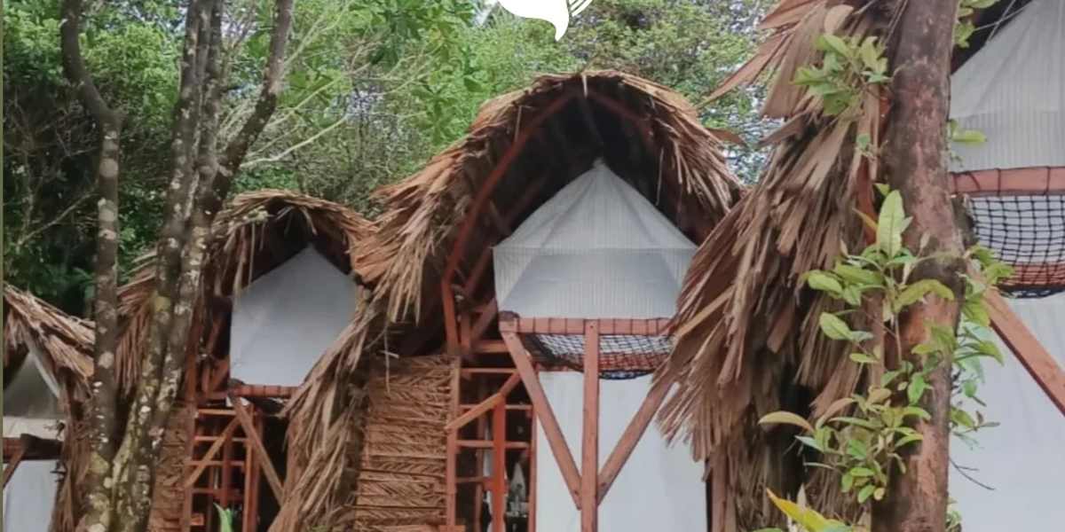Nativo home