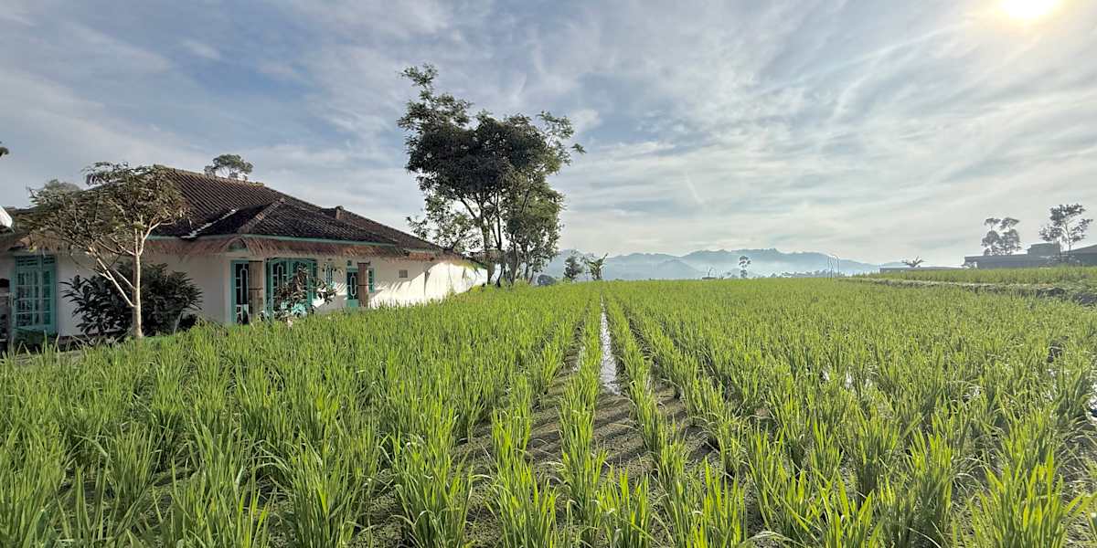 White Crater Farmstay Ciwidey