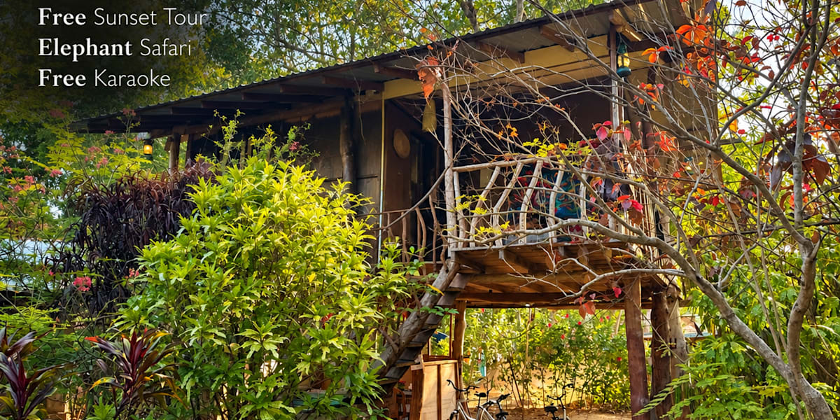 The Travel Tree Hostel