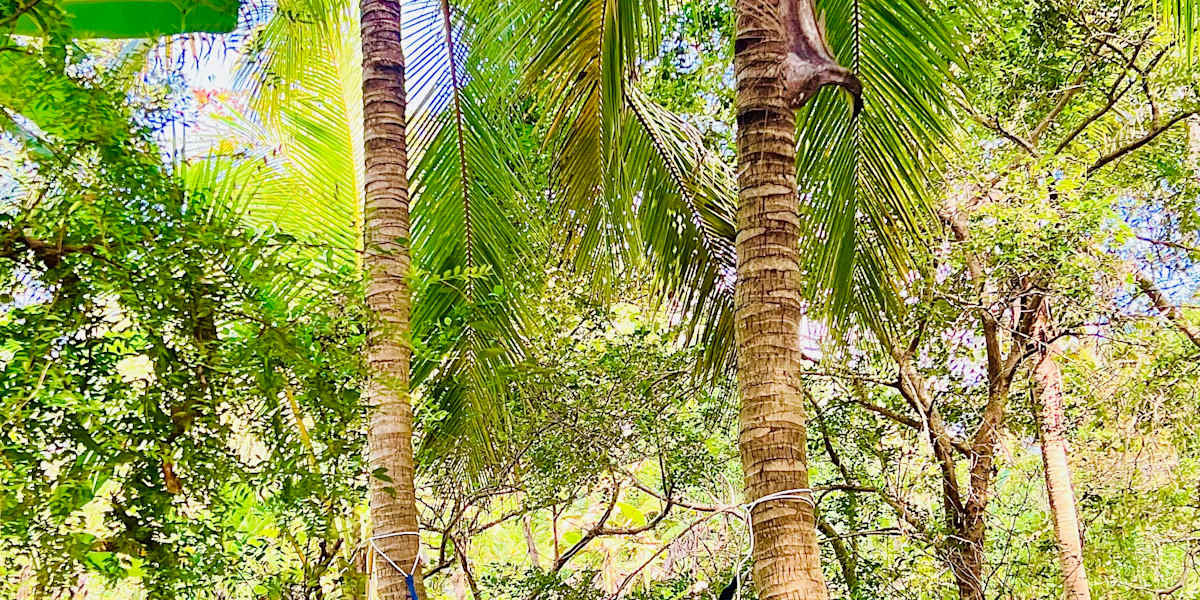 Hakuna Matata Hostel Sigiriya
