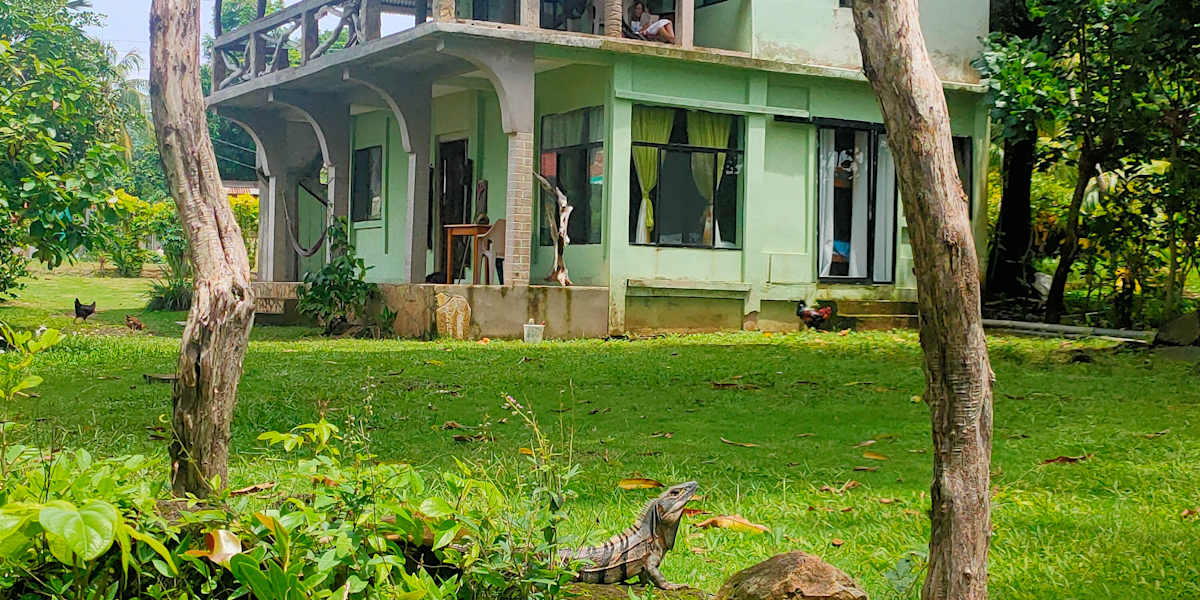Guesthouse Island Escape