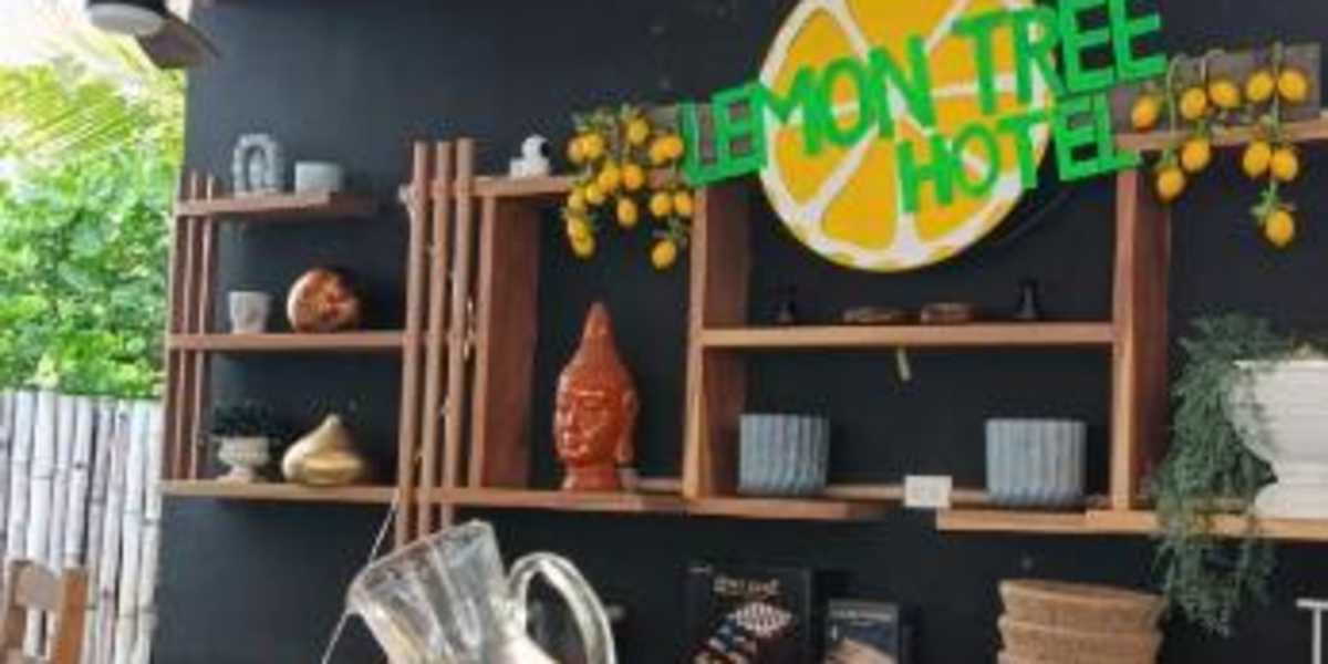 Lemon Tree El Paredon