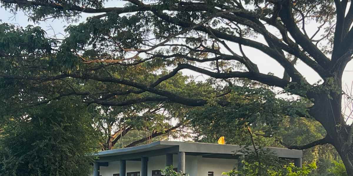 Vibra Hostel