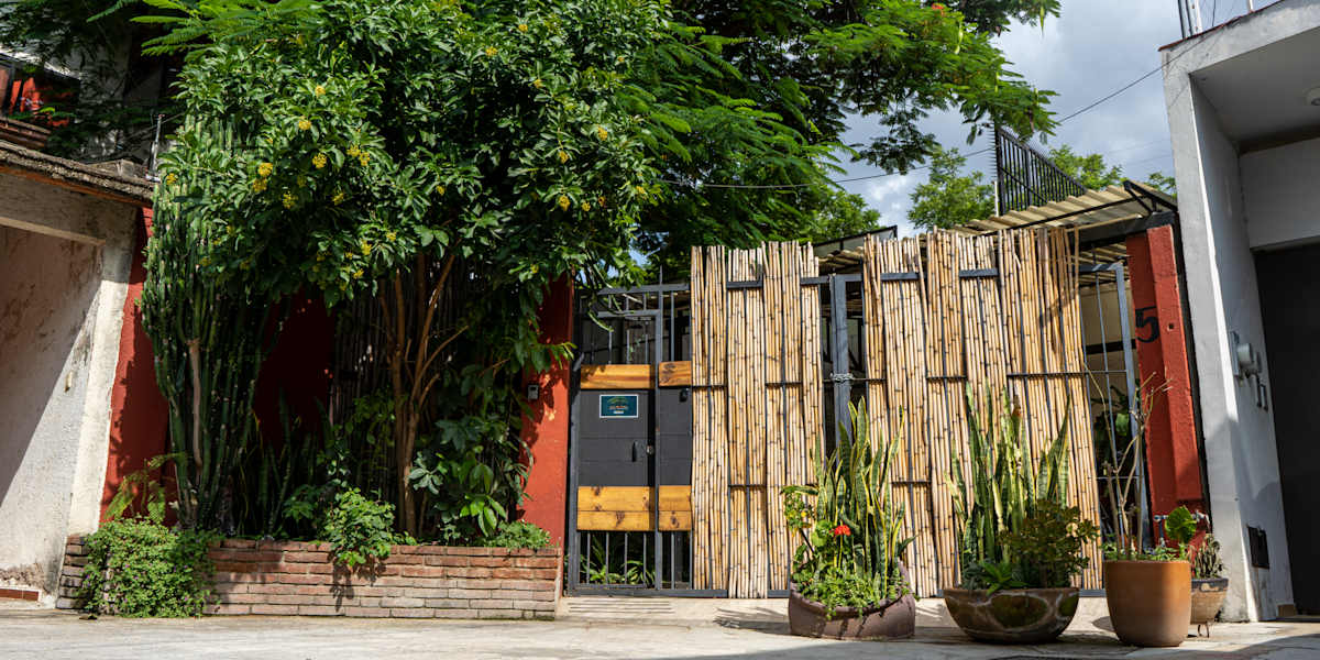 Casa del Árbol Xochimilco