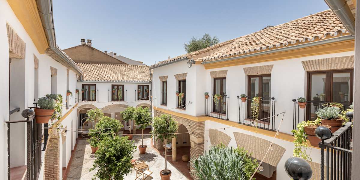 Cats Hostels Cordoba