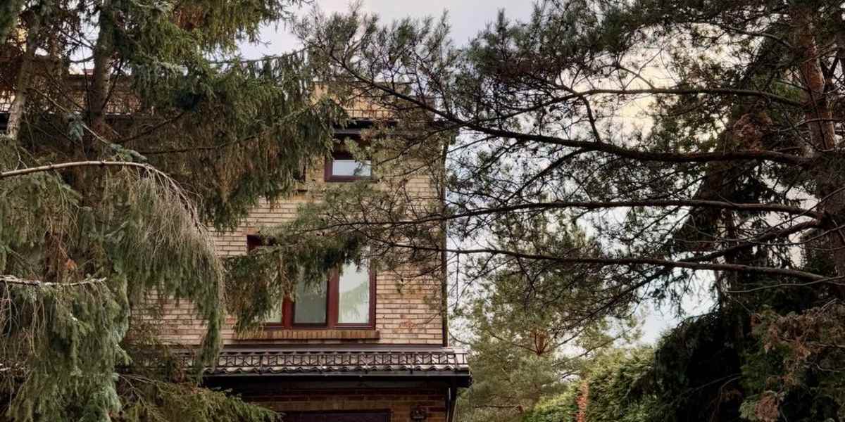 Vectore Home
