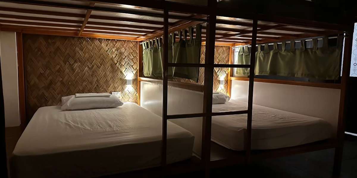 Jungle Hostel