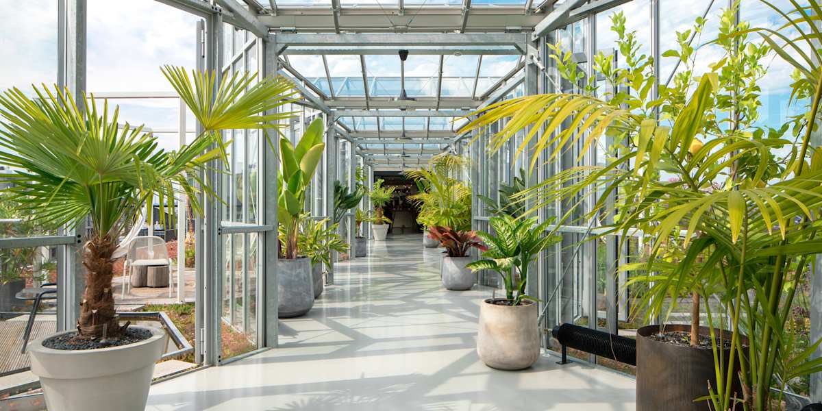 Zoku Amsterdam
