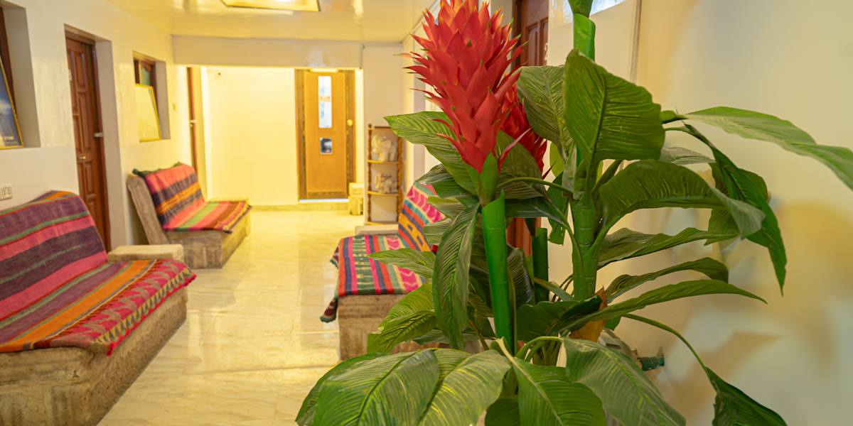 Hostal Terra Sal with Garage