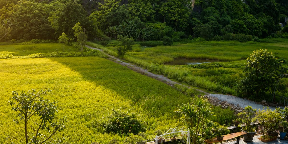 Tam Coc AppA House