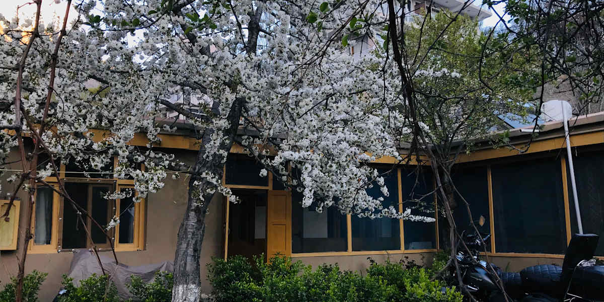 Hunza Backpackers Inn