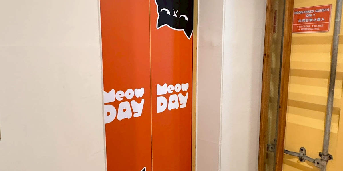 Meow Day Hostel
