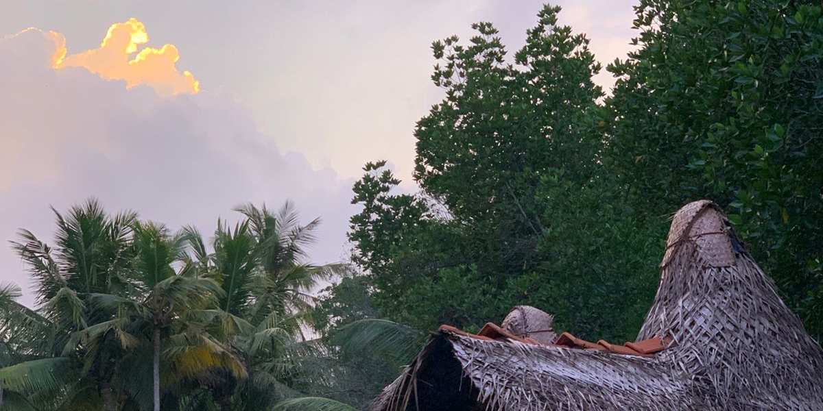 Camp Kush by Hostel Unawatuna