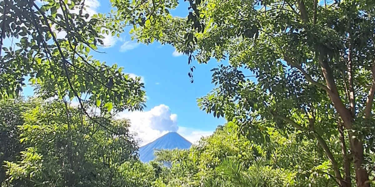 Roots Hostel Ometepe