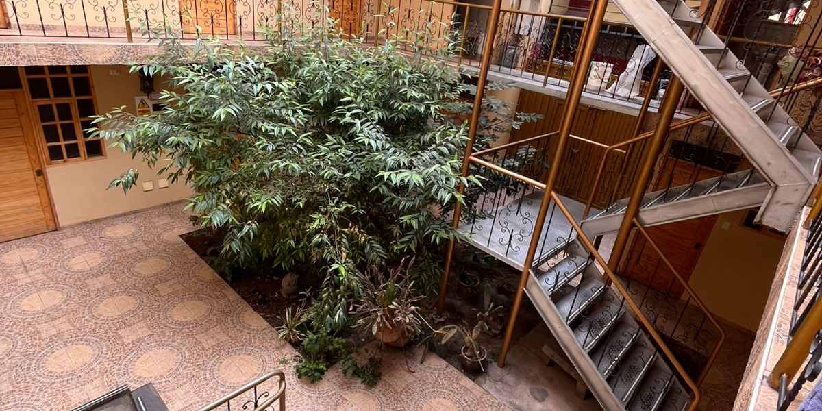 Hostal Cactus