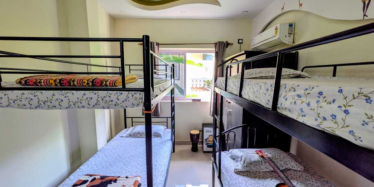 Lazy Turtle Hostel