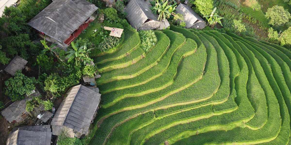 My's Homestay sapa