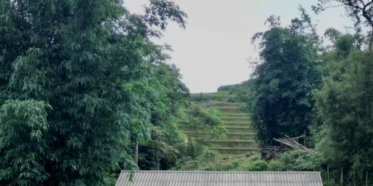 Local Homestay