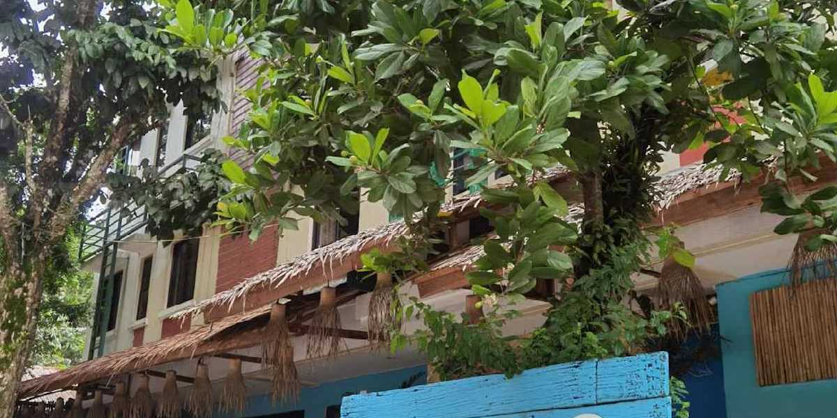 Amos Pili Inn Tree powered by Cocotel