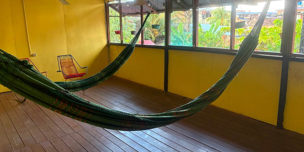 Welcome to the Amazon