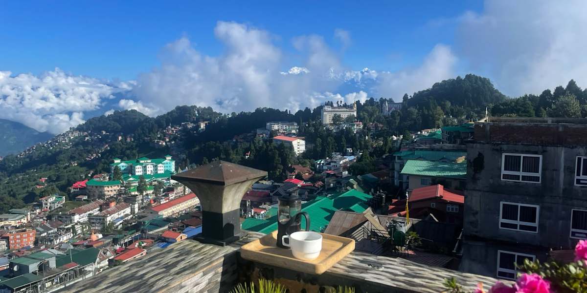 Travel Pickle Hostel