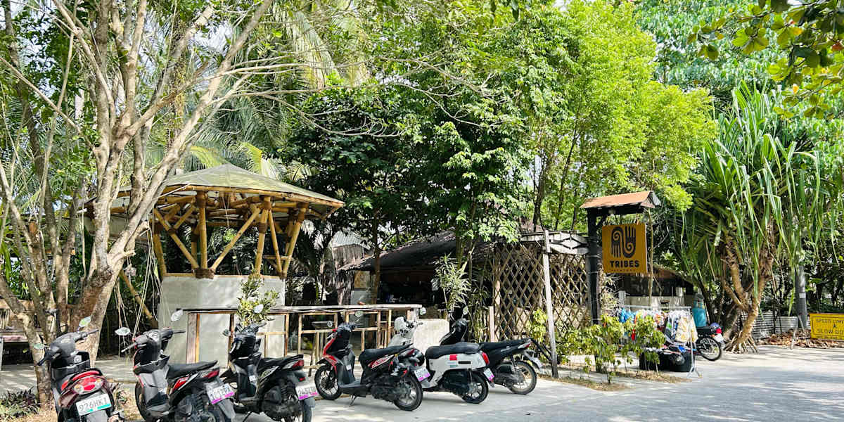TRIBES - Siargao