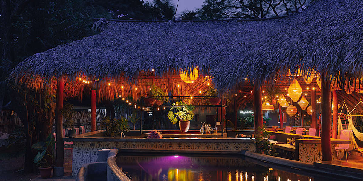 The SPACE. Jungle oasis