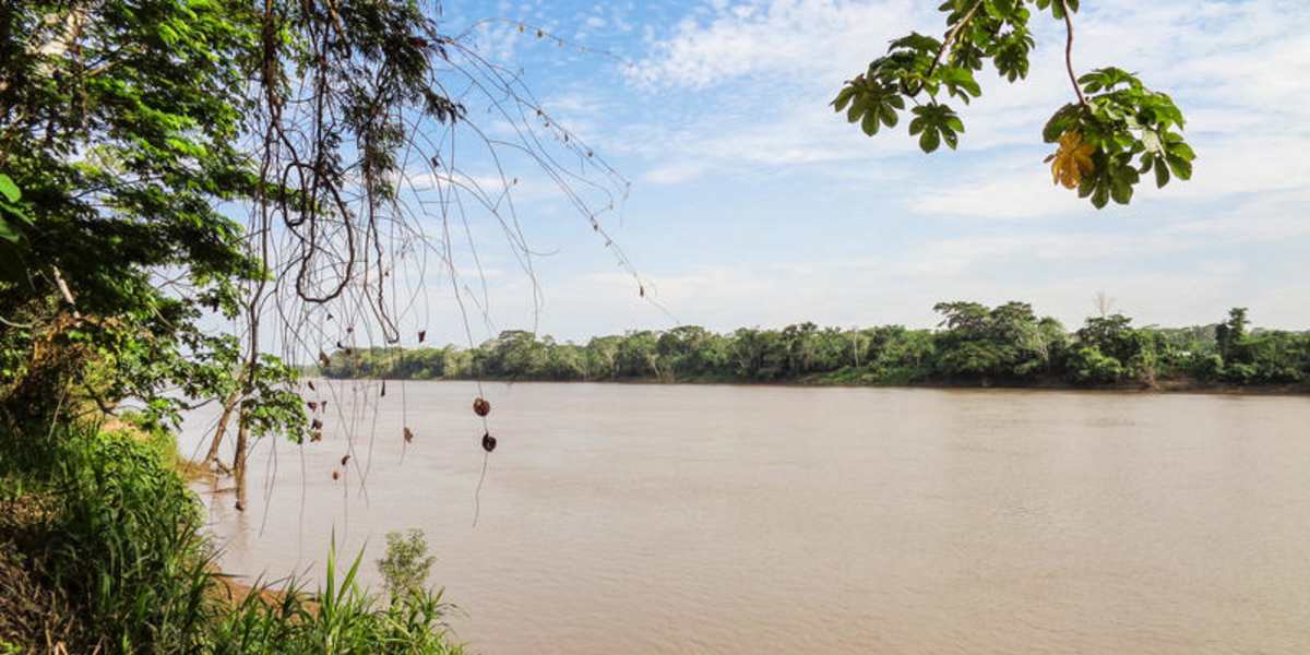 Don Jaime Bungalows - Tambopata