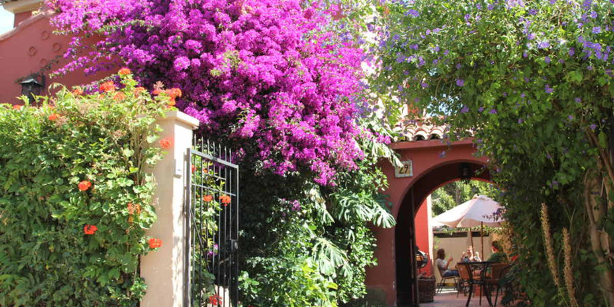 Hostal El Arbol