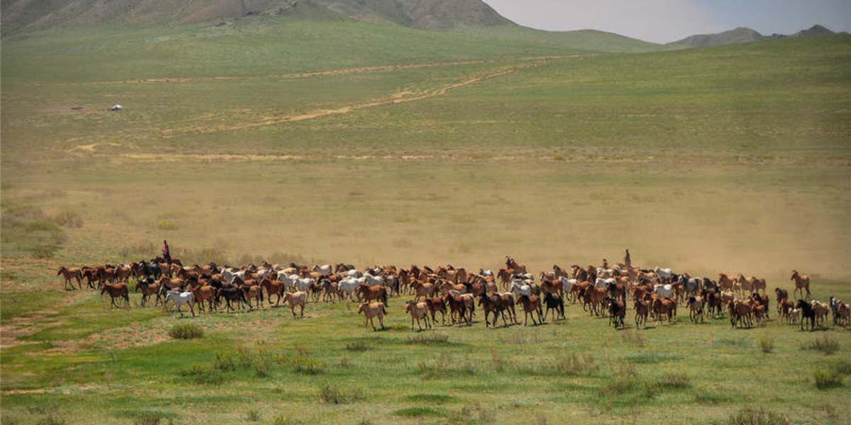 Sunpath Mongolia